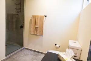 Luxurious 3-Bedroom Beachfront Villa in Marina Vallarta