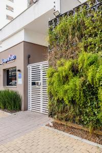 Experiência única em São Paulo