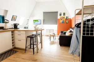 Appartements Mirabeau Sous Les Toits - Tours : photos des chambres