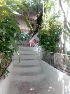 Comodo y acogedor apartamento en Los Mameyes