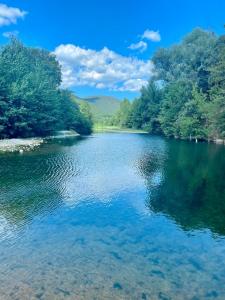 Le Cocon Verdoyant du Sud