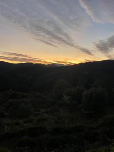 Le Cocon Verdoyant du Sud