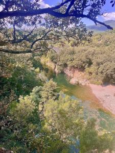 Le Cocon Verdoyant du Sud