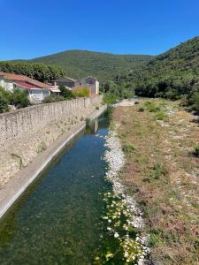 Appartements Le Cocon Verdoyant du Sud : photos des chambres