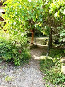 Maisons de vacances Le Refuge Briissois : photos des chambres