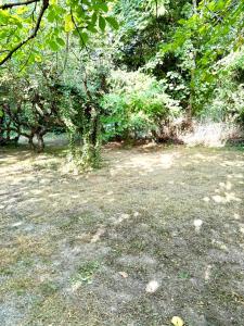 Maisons de vacances Le Refuge Briissois : photos des chambres