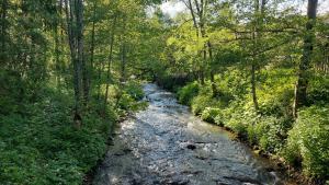 Під Боржавою