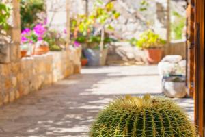 Holiday house with a parking space Lozisca, Brac - 15444