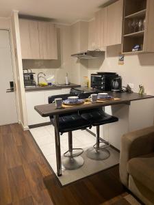 Acogedor Apartamento Valdiviano