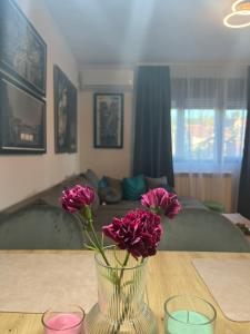 Apartman Zelena laguna