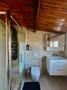 Villas Villa a 30 min des parcs Asterix et Disneyland : photos des chambres