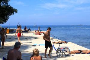 Family-friendly apartments with swimming pool Valkarin, Porec - 24238