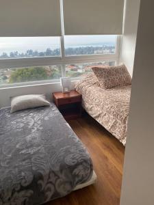 Monkey Guest Apartment