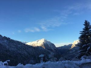 Chalets Chalet in Huez near Ski Slope : photos des chambres