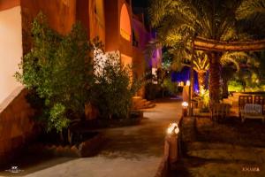 amazing room in siwa oasis