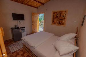 amazing room in siwa oasis