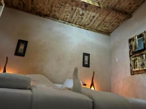 amazing room in siwa oasis