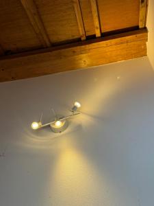 MEEDAFUS YUI HOSTEL and COFFEE