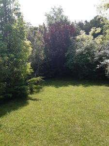 Villas Ecrin de verdure : photos des chambres