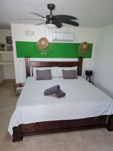 Casa Motmot