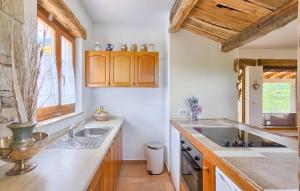 Stunning Home In Pazin