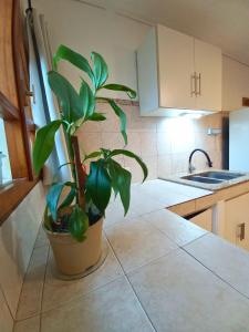 Departamento Mamá Inés