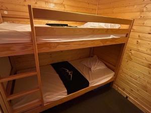 Appartements Appartement 4/6 pers. Coeur de station, proche pistes, WIFI - FR-1-814-69 : photos des chambres