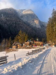 Idyllisches Chalet Hallstattnähe