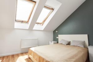 Dizzy Daisy Hostel
