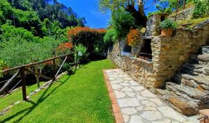 Stone Cottage Among Olive Trees Near Versilia Beaches