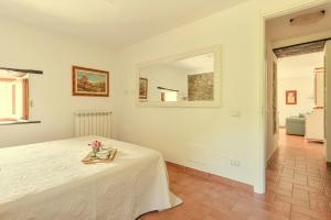 Stone Cottage Among Olive Trees Near Versilia Beaches