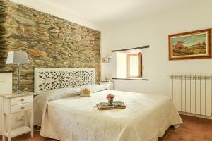 Stone Cottage Among Olive Trees Near Versilia Beaches