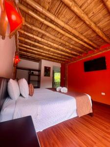 Hotel y termales Las Heliconias