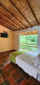 Hotel y termales Las Heliconias