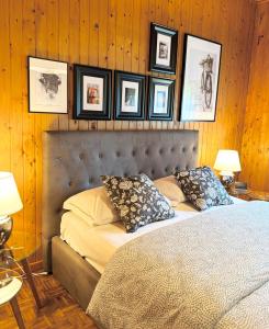 Casa degli Albicocchi - near Venice - whole house with garden and free Prkg