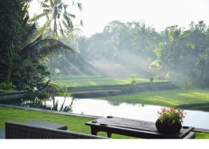 Hatiku Di Bali - Ubud - 4hvězdičkové hotely ve městě Tegalalang