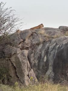 Zuhumath Tented Camps Serengeti