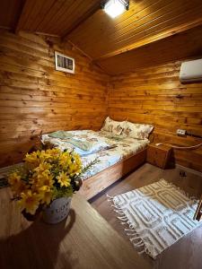 Cabanutele La Denisa