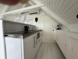 Seehütte Schilfhaus inklusive E-Boot am Neusiedler See