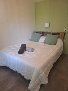 Maisons de vacances Gite dans un mas Provencal - L-Oustalet : photos des chambres