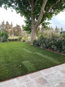 Maisons de vacances Gite dans un mas Provencal - L-Oustalet : photos des chambres