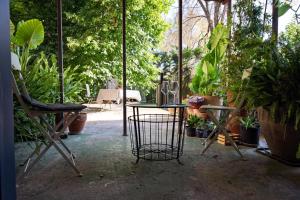 Minimalist Escape with Lush Green Terrace
