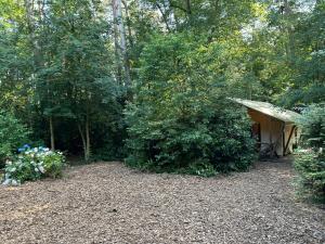 Glampingtent Bosgenot
