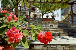 Diplomats' Holidays Pelion Greece