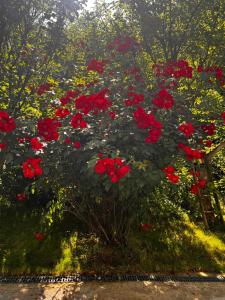 The LODGE, separate apartment in a vila, with floor heating, groundfloor