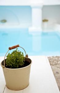 Altana Boutique Hotel Tinos Greece
