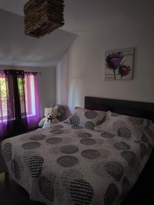 Maisons de vacances Le Petit coin de Paradis : photos des chambres