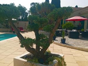 Maisons d'hotes La Couloumine : photos des chambres