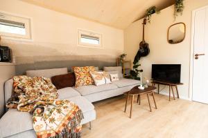 Thuisje van Hout, tiny house in Drentse natuur