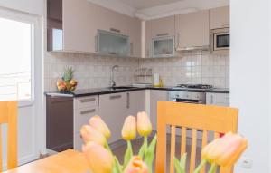 Apartment Maslenica 